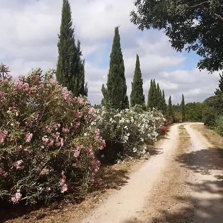 Domaine De Liviere-haute