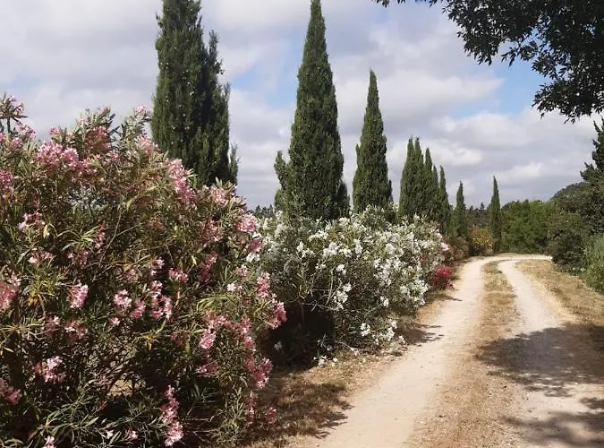 Domaine De Liviere-haute