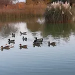 Prázdninový dům Domaine De Liviere-haute